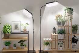 Adjustable Floor Plant Growing Lamp, Just Under $25 With Amazon Coupon card image