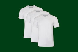 hanes men's t shirts on a green background