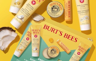 a set of travel-sized Burt's Bees products