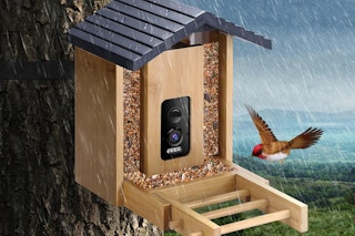 bird feeder with camera