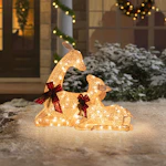 Birch Lane Christmas Lighted Deer