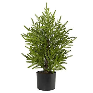 Artificial Norfolk Island Pine Tree
