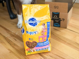 amazon pedigree puppy dog food 6 1646168679 1646168680