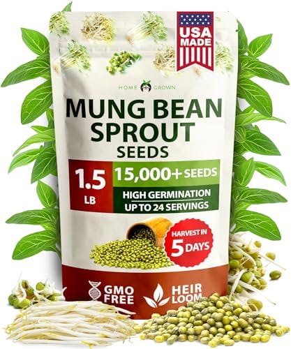 Mung Bean Seeds