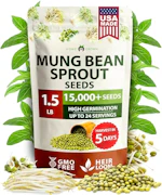 Mung Bean Seeds