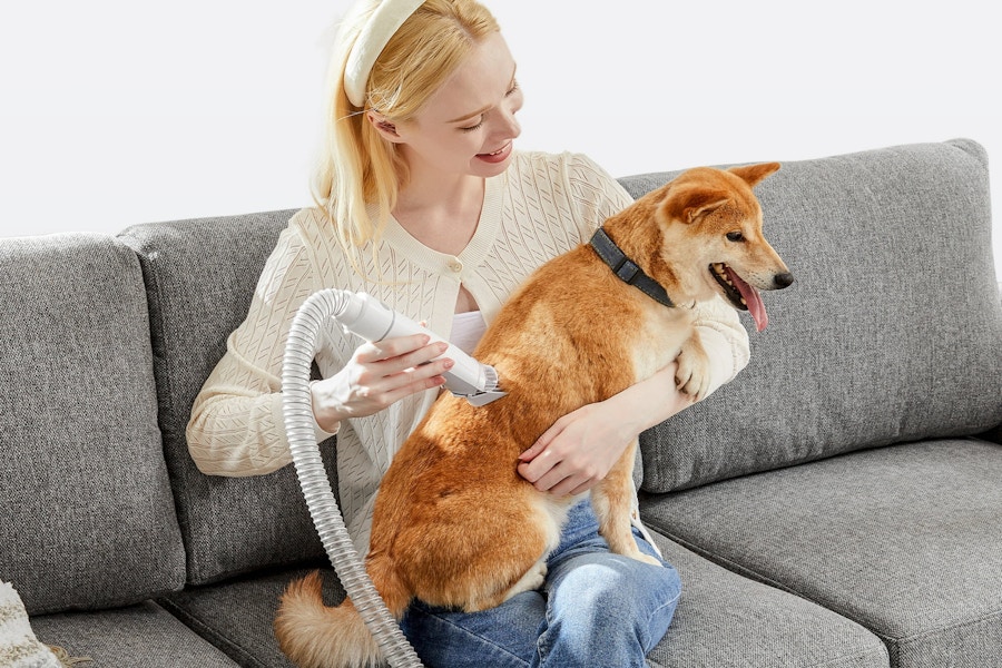 Walmart-dog-grooming-kit-1