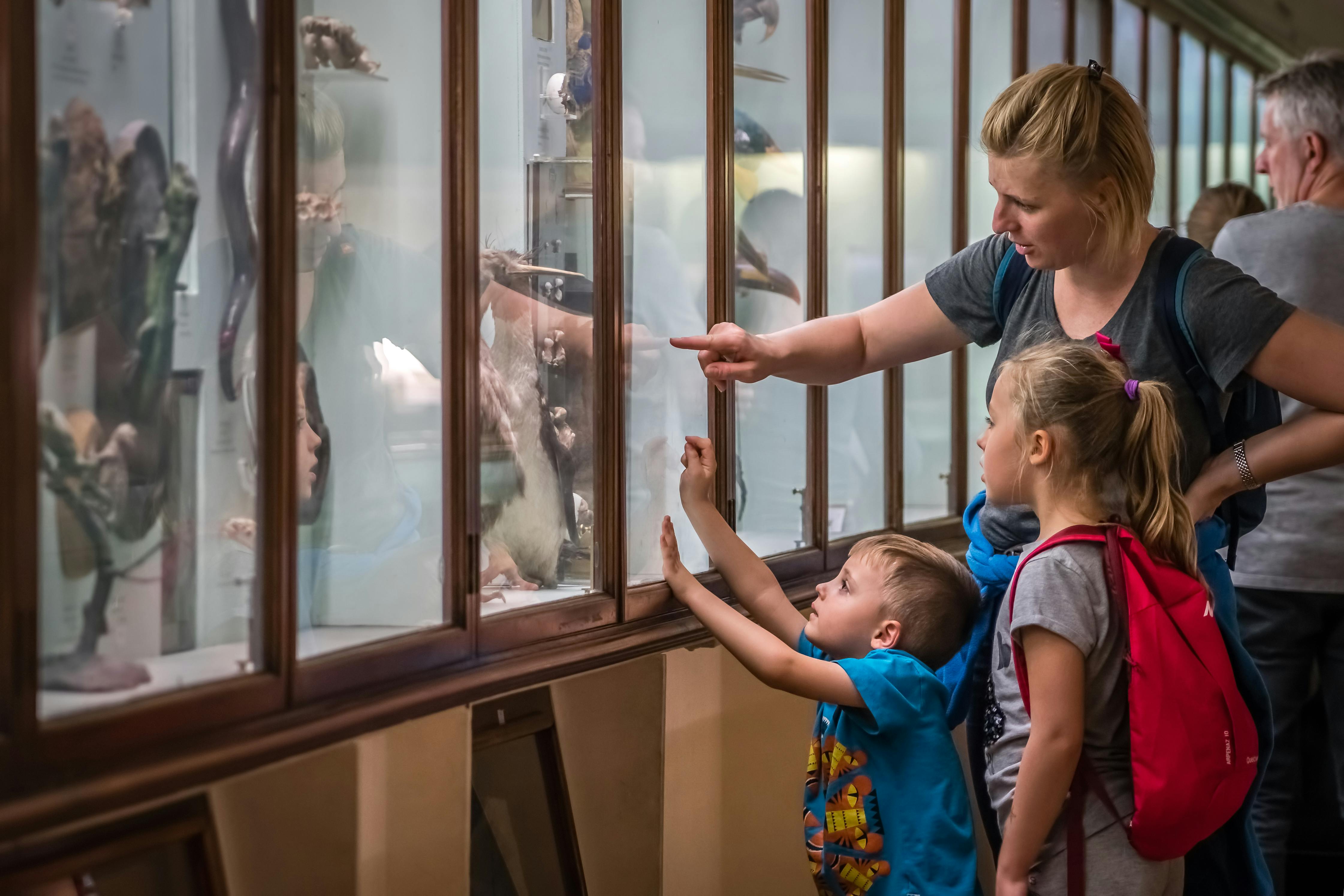 Free Museums in Every State That Are Fun and Educational