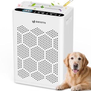 Air Purifier for Large Room