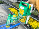 hand holding bottle of spruce weed and grass killer on walmart cart