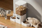 cat feeder