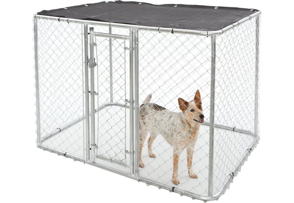 MidWest Chain Link Outdoor Dog Kennel