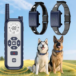 Wireless Dog Fence