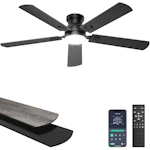 Ceiling Fan with Light