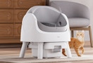 a self-cleaning cat litter box in a room next to a cat