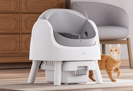 a self-cleaning cat litter box in a room next to a cat