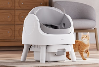 a self-cleaning cat litter box in a room next to a cat