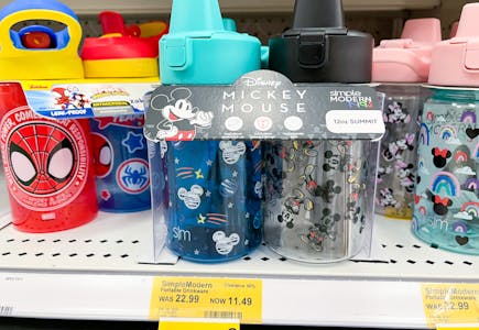 Simple Modern Mickey Bottle Set