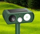 a animal repellent device in a yard
