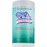 2 Good & Clean Disinfecting Wipe Packs