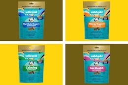 4 different types of Solid Gold Dog Supplement types