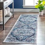 Transitional Medallion Area Rug