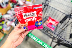hand holding up a bag of milk bone minis dog treats at dollar tree