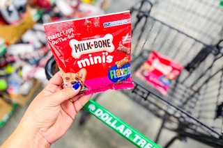 hand holding up a bag of milk bone minis dog treats at dollar tree