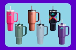 Stainley Tumblers in 6 colors