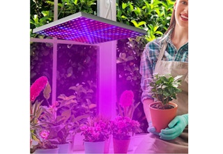 untilgone-gardening-light-mar-2023