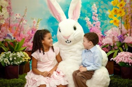 Get a FREE Bunny Photo at Bass Pro Shops Now (Reservations Open!) card image