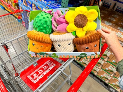 Think Dog Plant Pals Dog Toy 3-Pack