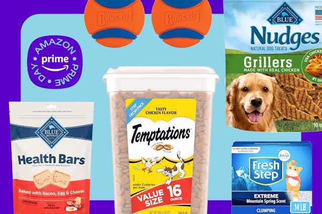These Are The Must-Have Amazon Prime Day Pet Deals card image