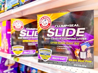 publix-arm-and-hammer-cat-litter-1