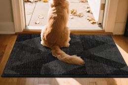 dog sitting on dark grey entryway rug
