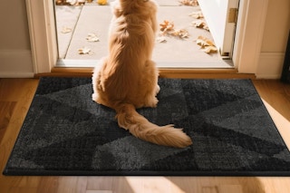 dog sitting on dark grey entryway rug