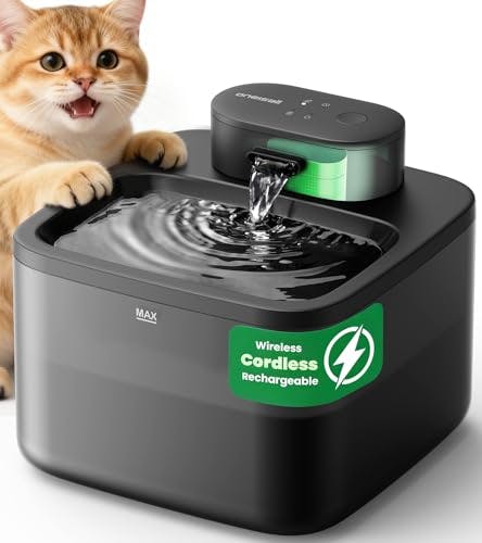 Cat Water Fountain