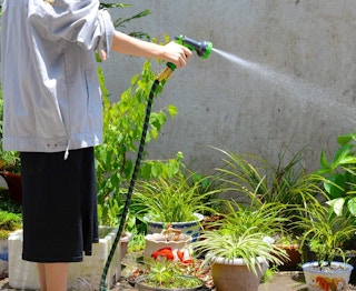 A person holding a garden hose and watering their plants outside.