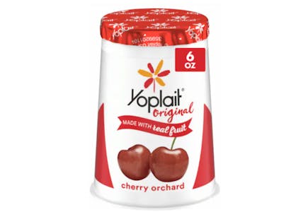 12 Yoplait Yogurt Cups