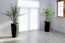 Lifestyle image of two (22 inch) black modern planters inside home next to window