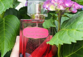 amazon catharine mandalo perfume 2023 1 1675968289 1675968289