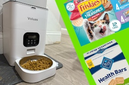 Pet Deals October 16