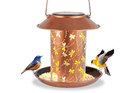 Solar Lantern Bird Feeder