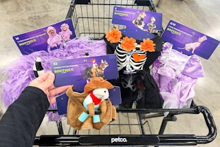 petco-halloween-costumes