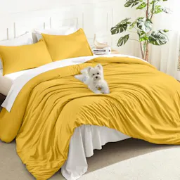 Twin XL Comforter Set