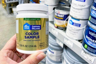 holding up paint sample at Lowes