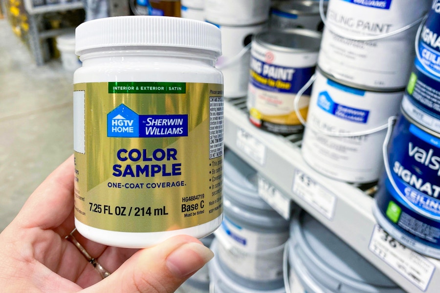 holding up paint sample at Lowes