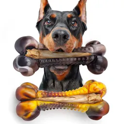 Dog Chew Toys 2-Pack