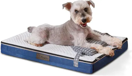Washable Foam Dog Bed