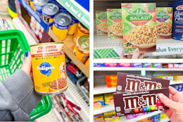 dollar tree pedigree, m&m's, suddenly salad 3-photo collage