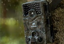 walmart trail camera